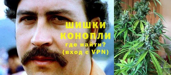ГАЛЛЮЦИНОГЕННЫЕ ГРИБЫ Краснотурьинск