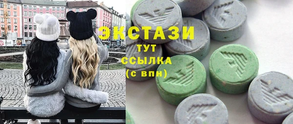 2c-b Краснослободск