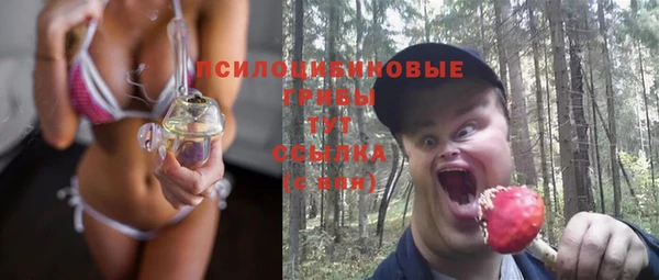 эйфоретик Куйбышев