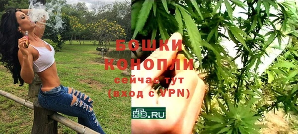 ГАЛЛЮЦИНОГЕННЫЕ ГРИБЫ Краснотурьинск