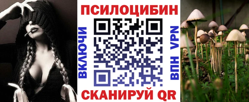 Галлюциногенные грибы Psilocybine cubensis  Кировград 
